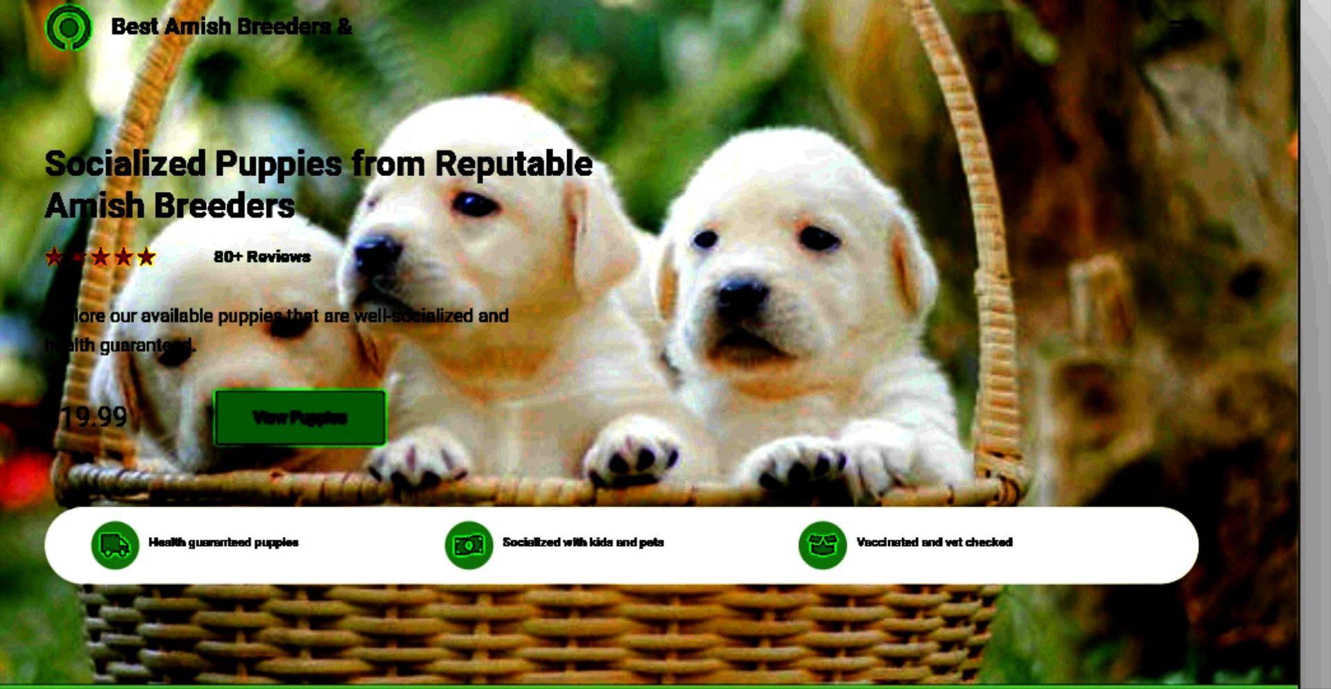 Puppies for sale, puppy classifieds, breeders list puppies here & start selling!